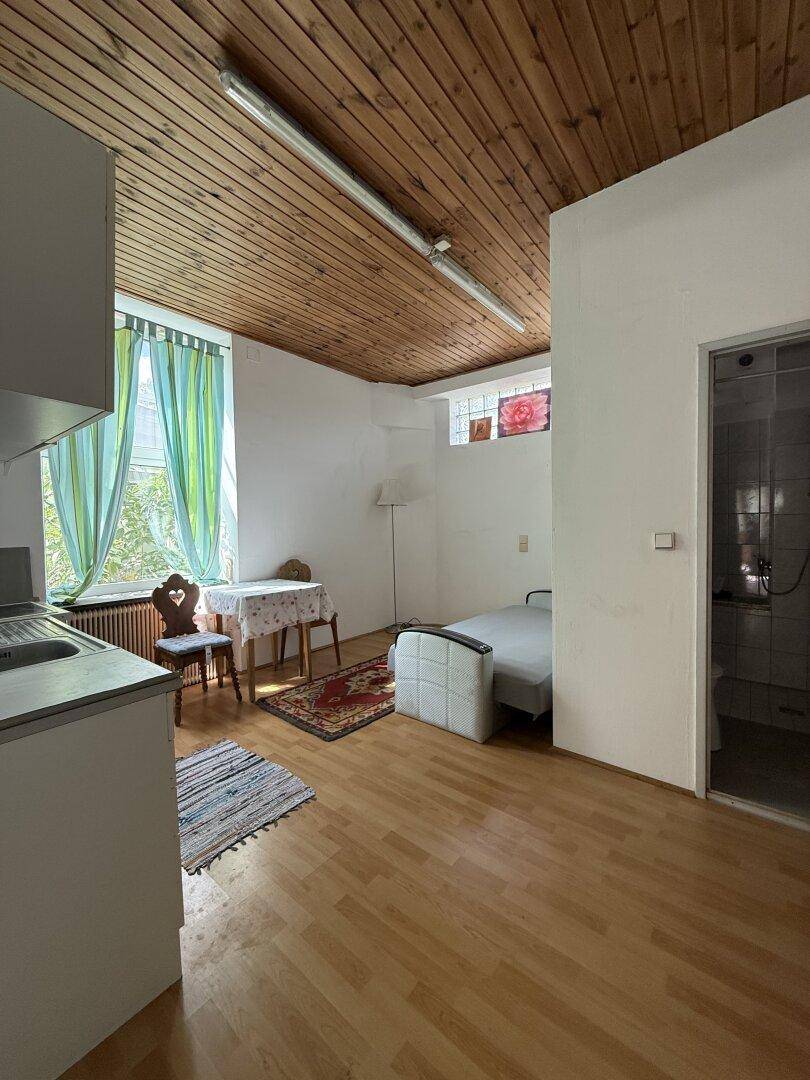 Helles Studio-Apartment mit Küchenzeile, Holzdecke und Blick ins Grüne.