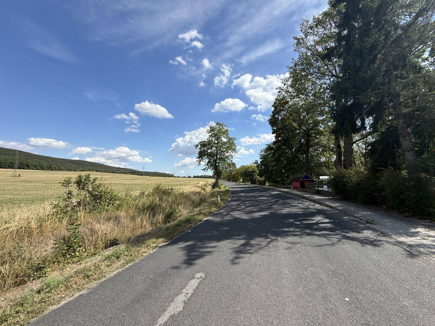 Weitläufige Landschaft mit Feldern und Bäumen unter strahlend blauem Himmel.