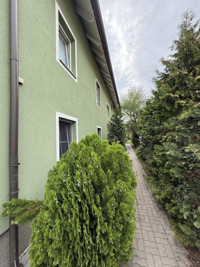 Schmaler gepflasterter Weg entlang der grünen Hausfassade, umgeben von hohen Nadelbäumen.
