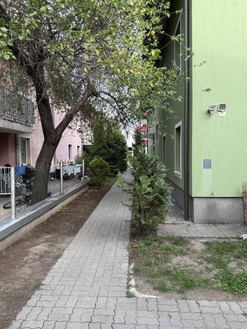 Gepflasterter Fußweg zwischen zwei Gebäuden mit Bäumen und Sträuchern.