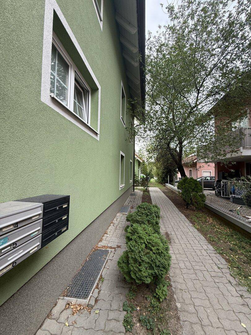 Seitenansicht des Gebäudes mit grüner Fassade, Briefkästen und einem gepflasterten Weg.
