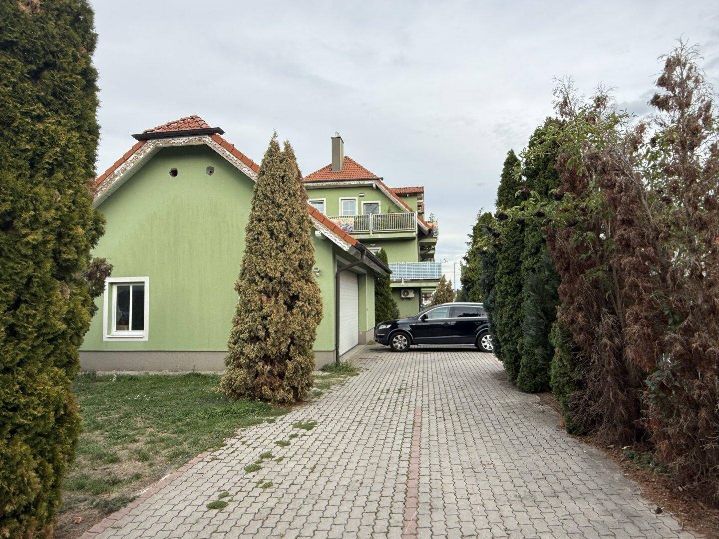 Gepflasterte Auffahrt zum Gebäude, gesäumt von hohen, schlanken Bäumen.
