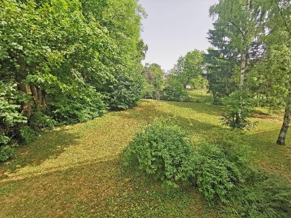 Großer, gepflegter Gartenbereich mit Rasenflächen und altem Baumbestand, ideal zum Entspannen.