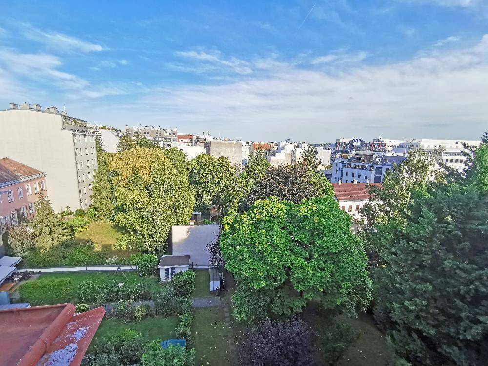 Weitläufiger Blick über die Stadt mit vielen Bäumen und Grünflächen unter blauem Himmel.