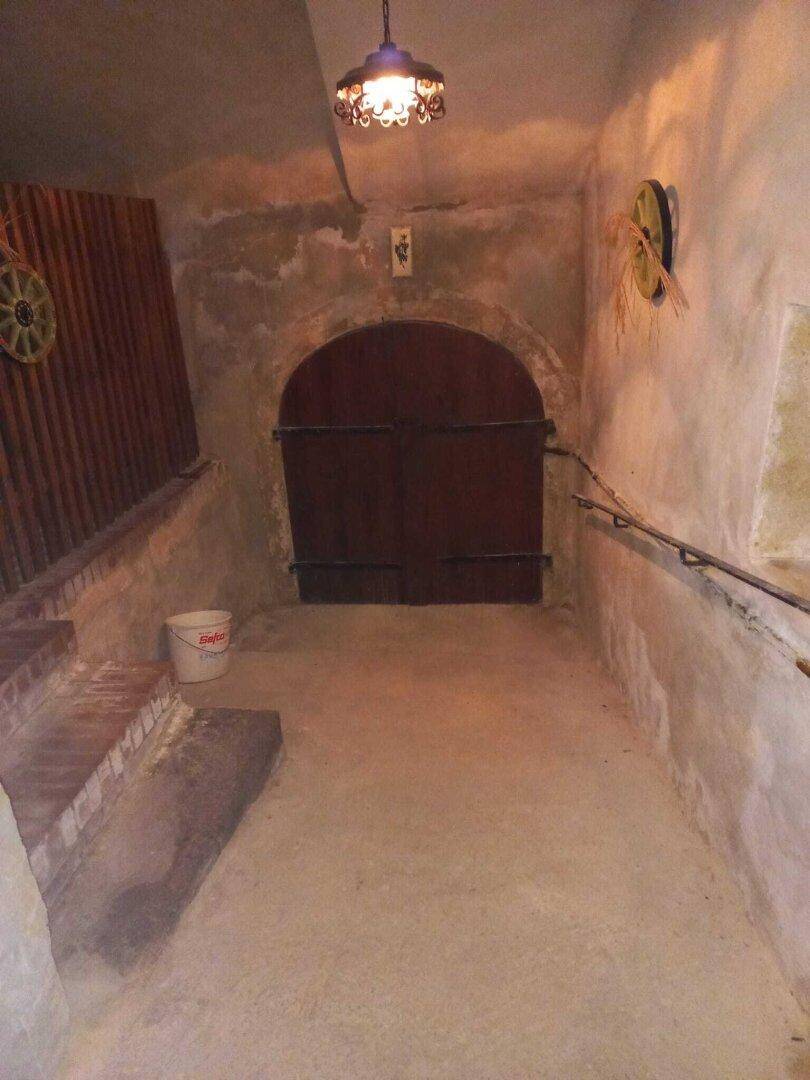 Eingangsbereich zum Keller mit Steintreppe und einer rustikalen Holztür.