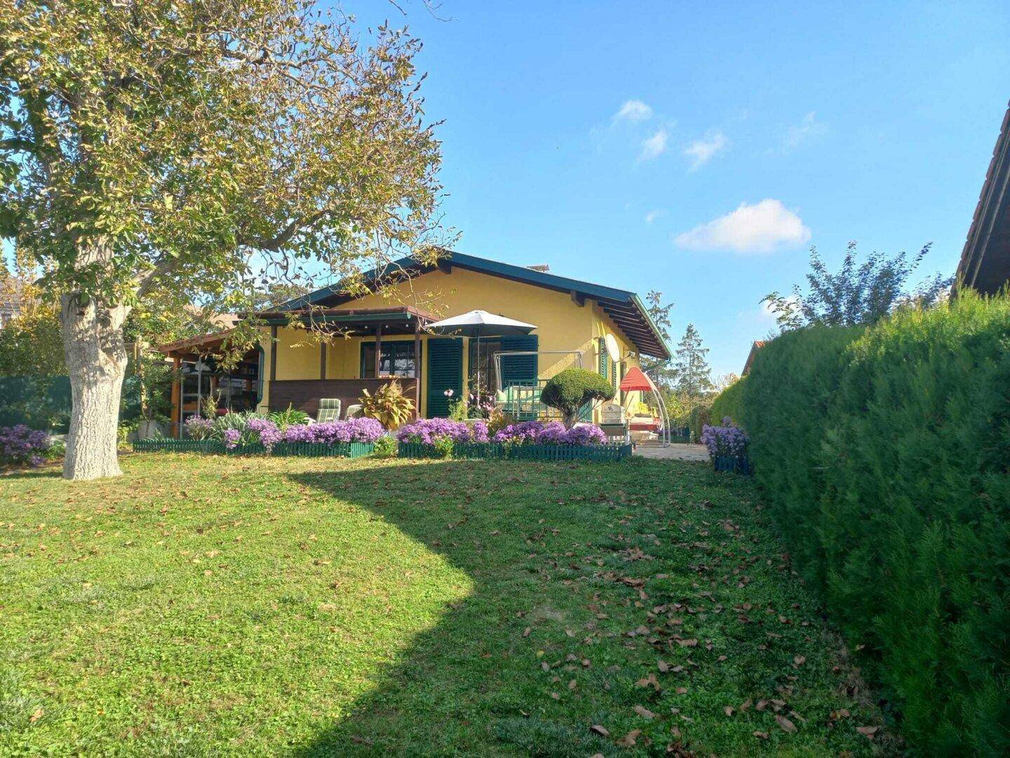 Sonniges Haus mit gelber Fassade, grünen Fensterläden und gepflegtem Vorgarten mit blühenden Pflanzen.