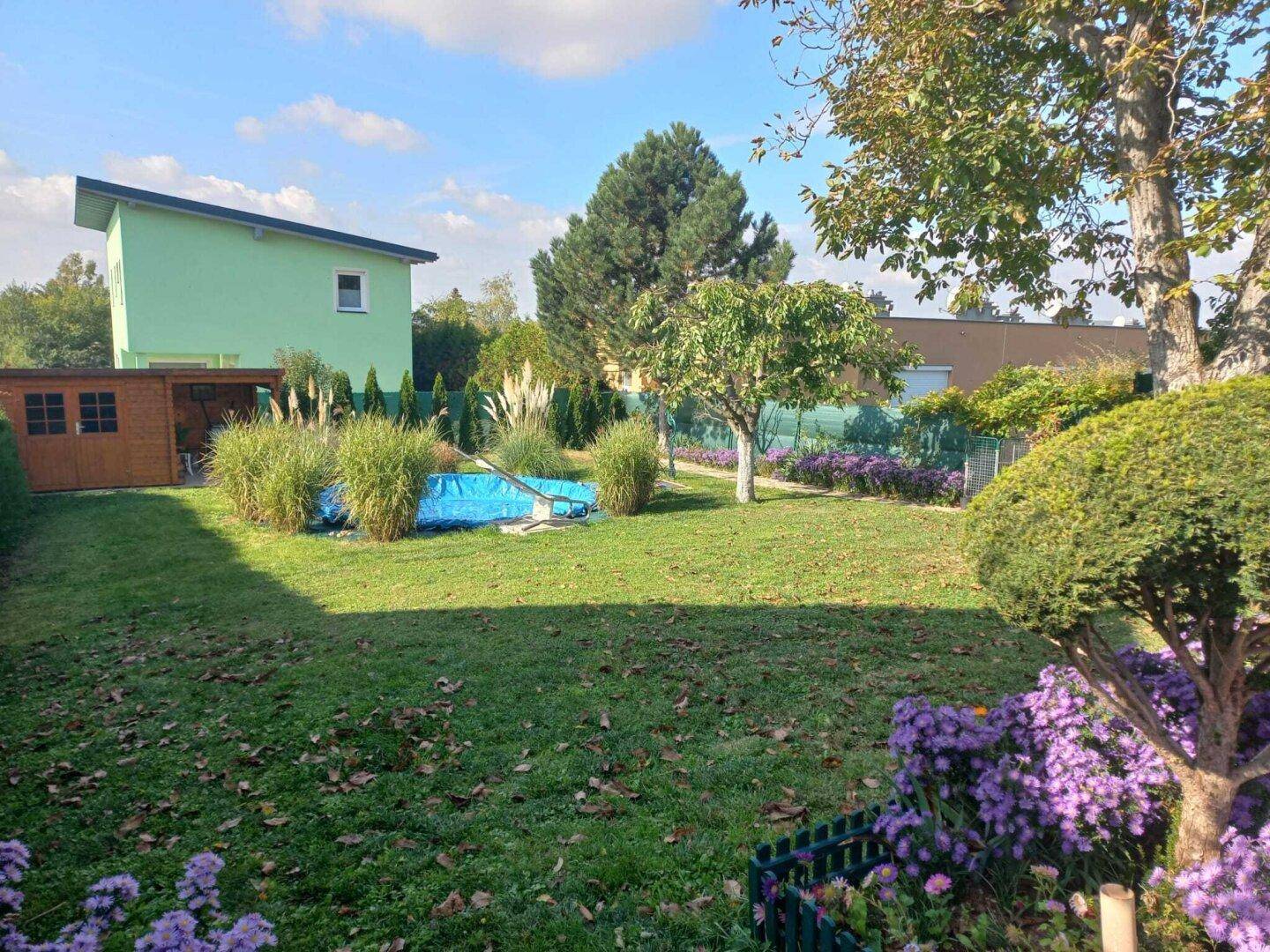 Großer Garten mit Rasenfläche, einem Aufstellpool und einem Gartenhaus im Hintergrund.