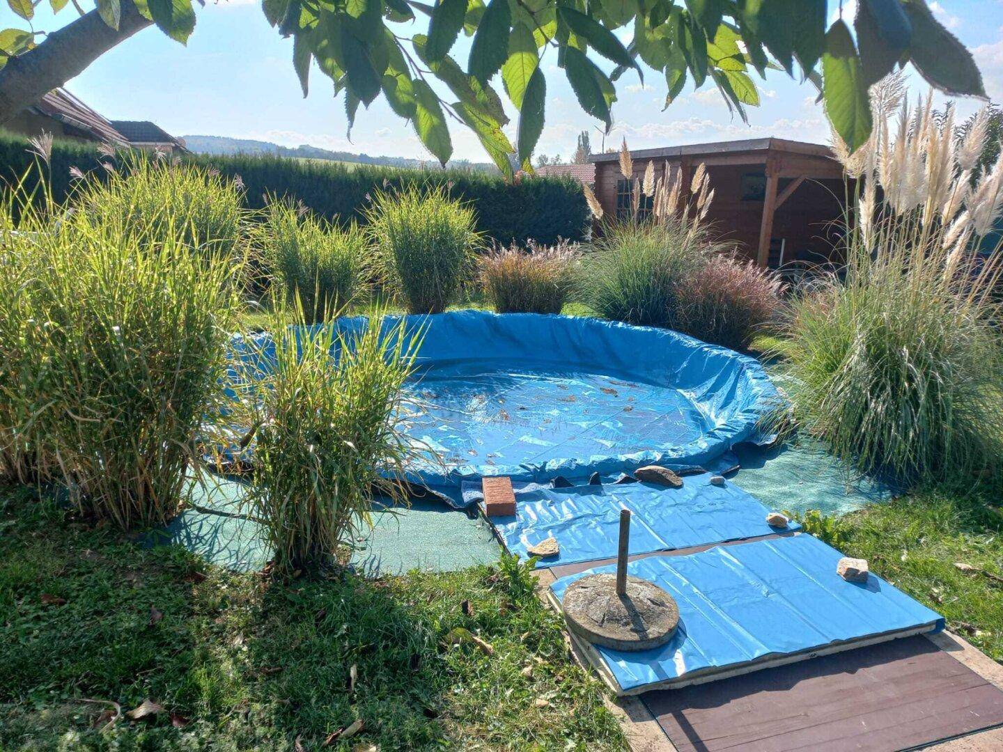 Aufstellpool im Garten, umgeben von hohen Gräsern und üppiger Vegetation an einem sonnigen Tag.