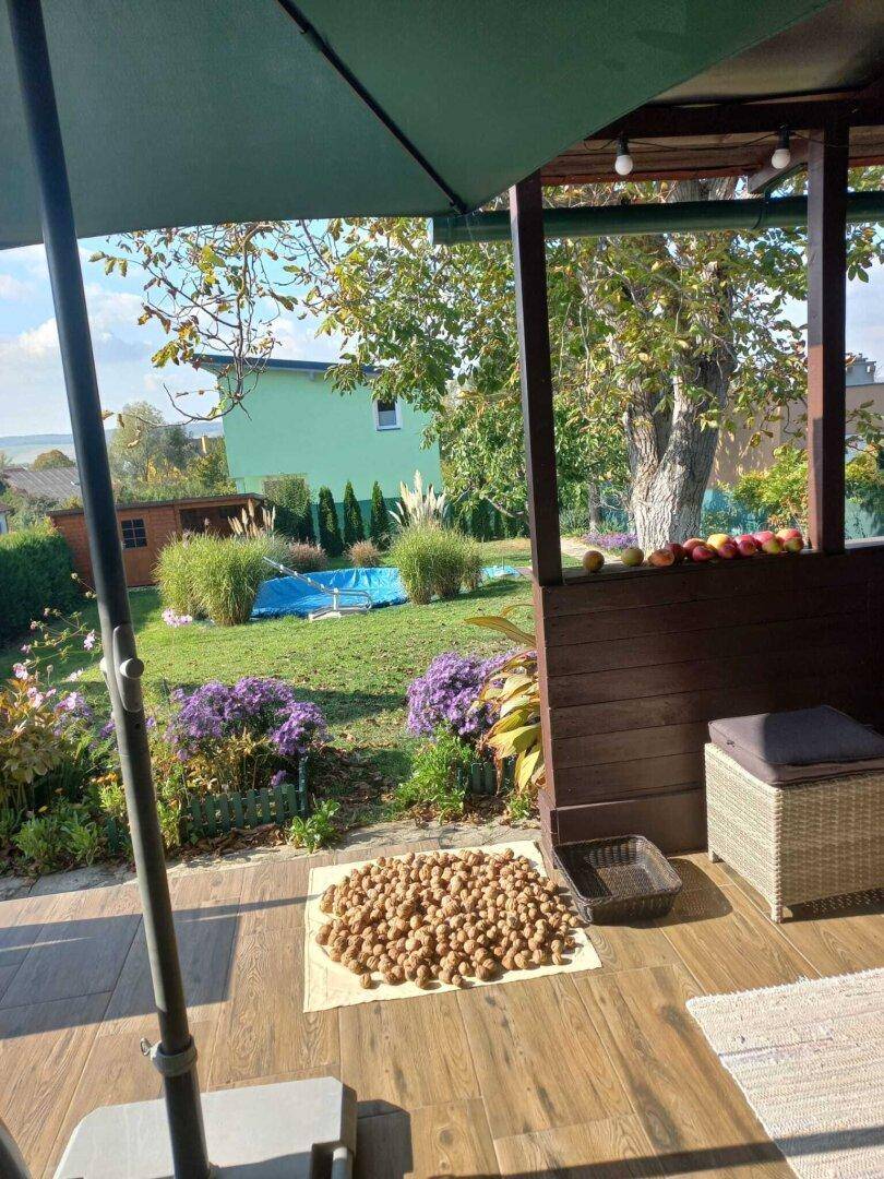 Blick von der überdachten Terrasse auf den grünen Garten mit Pool und Apfelbäumen.