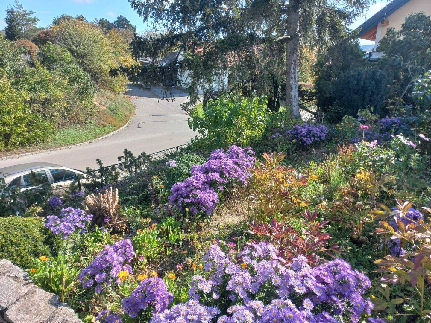 Bunte Blumenbeete mit Blick auf die darunterliegende Straße und die umliegende Natur.