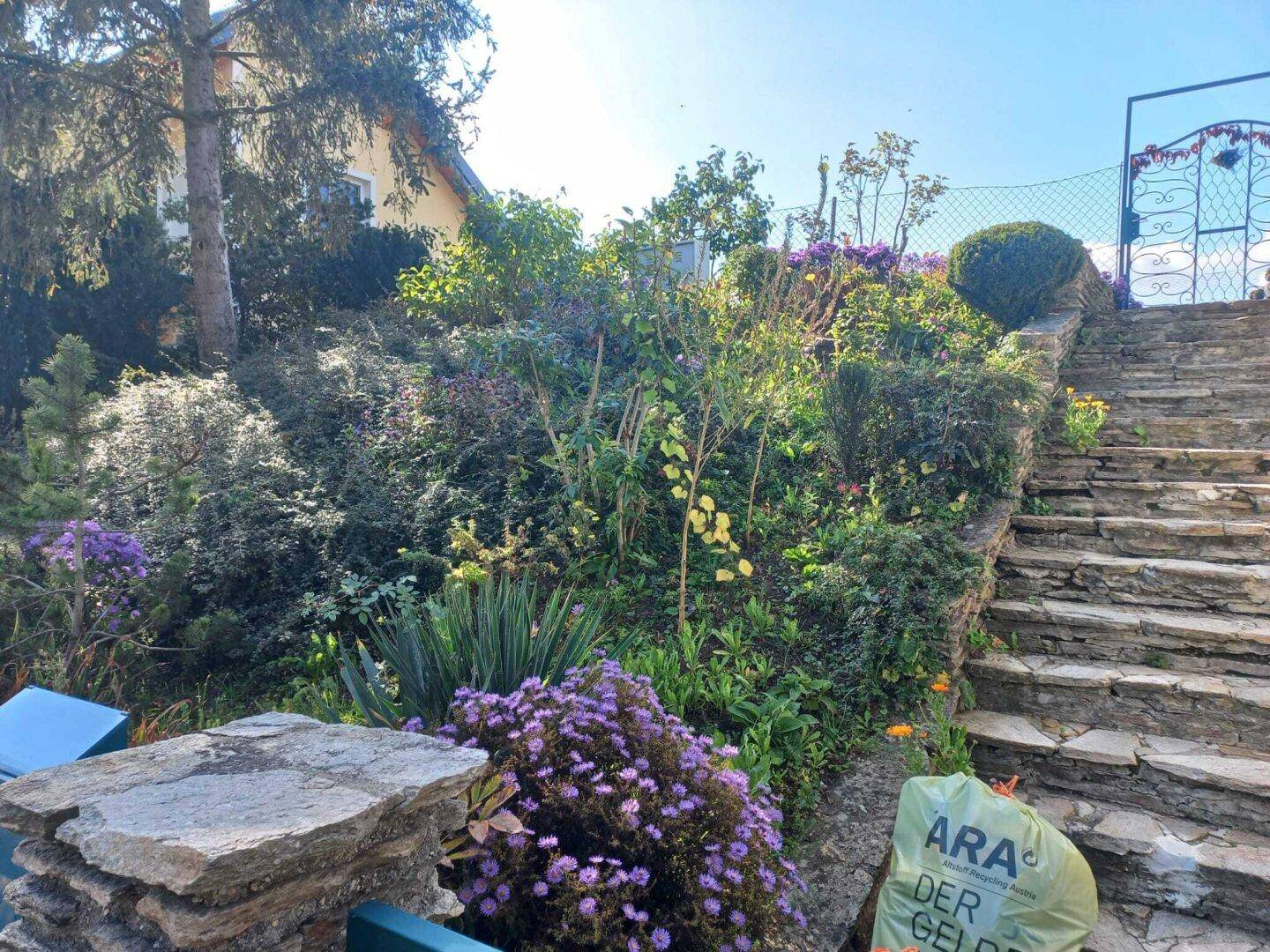Steintreppe führt durch einen üppig bepflanzten Hanggarten mit verschiedenen Blumen und Sträuchern.