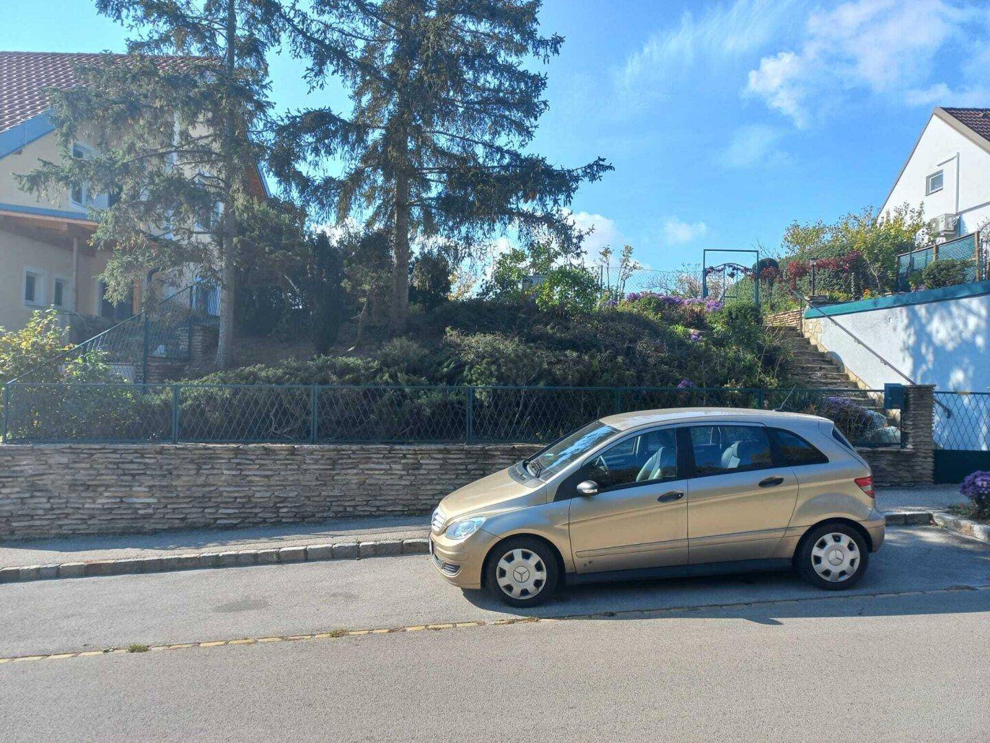 Straße vor dem Grundstück mit einem geparkten Auto und einer Natursteinmauer.