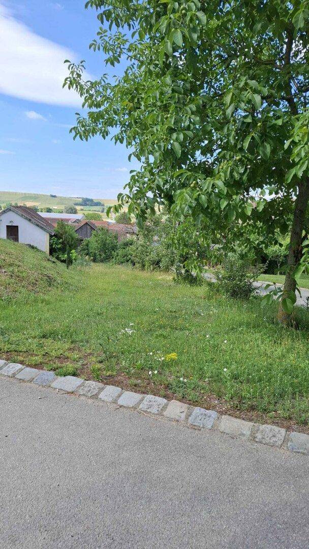 Blick von einem Weg auf ein grünes Grundstück mit Bäumen und Häusern im Hintergrund unter weitem Himmel.
