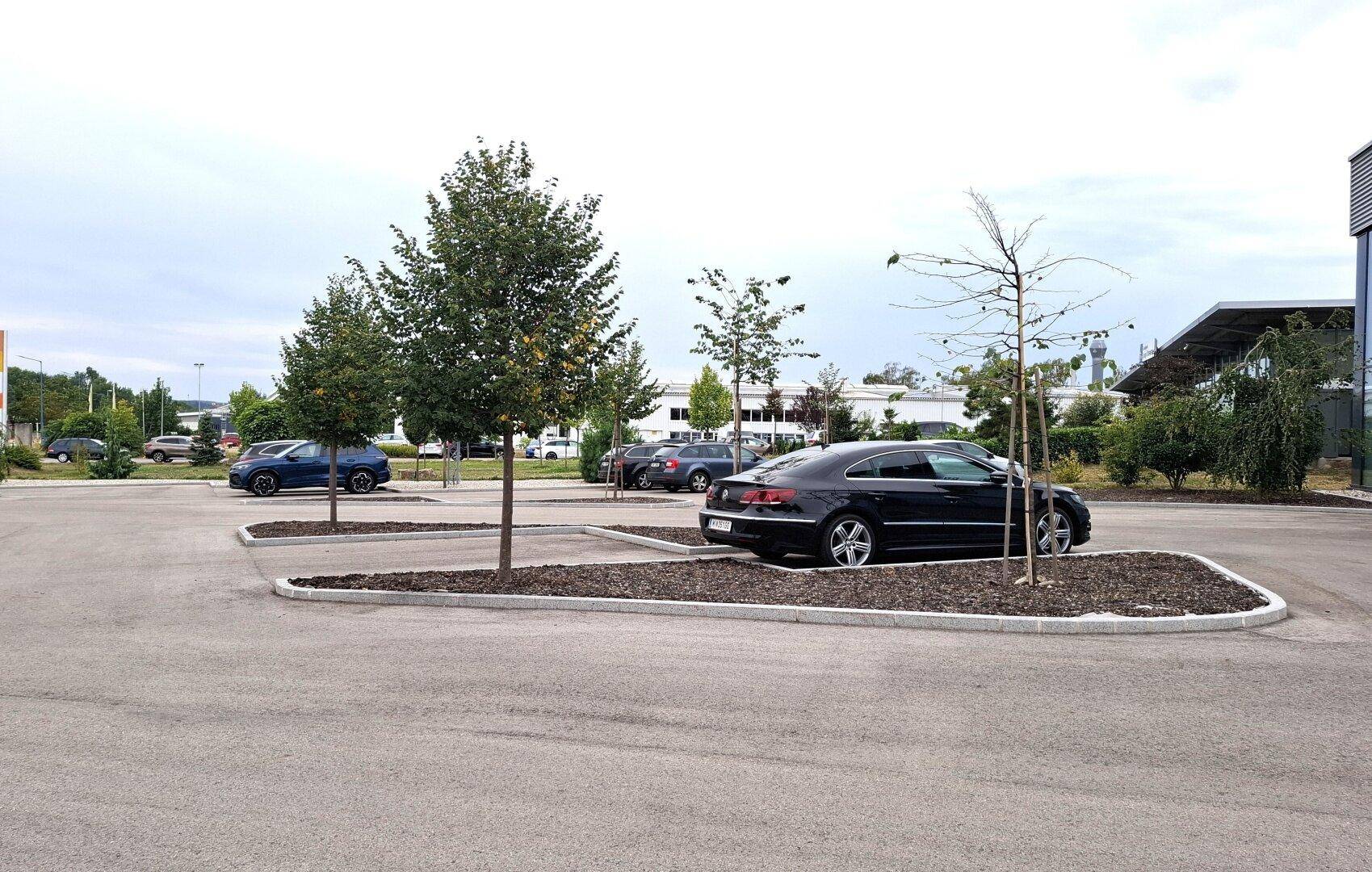 Großer Außenparkplatz mit mehreren Fahrzeugen und jungen Bäumen, die Schatten spenden.