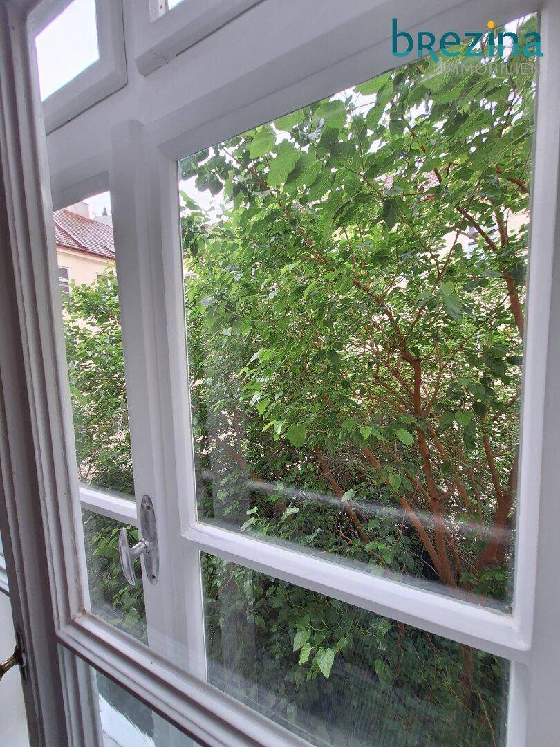 Hofblick