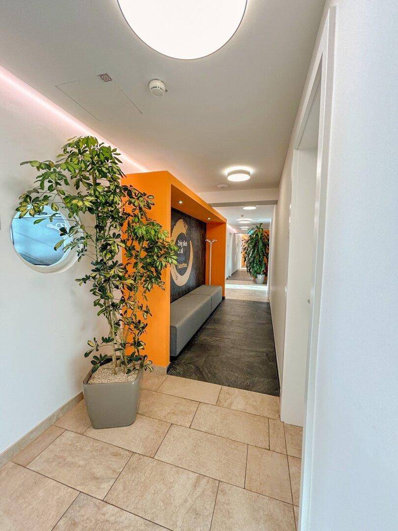 Heller Flur mit Pflanzen, Sitzgelegenheit und runden Fenstern in der Wand.