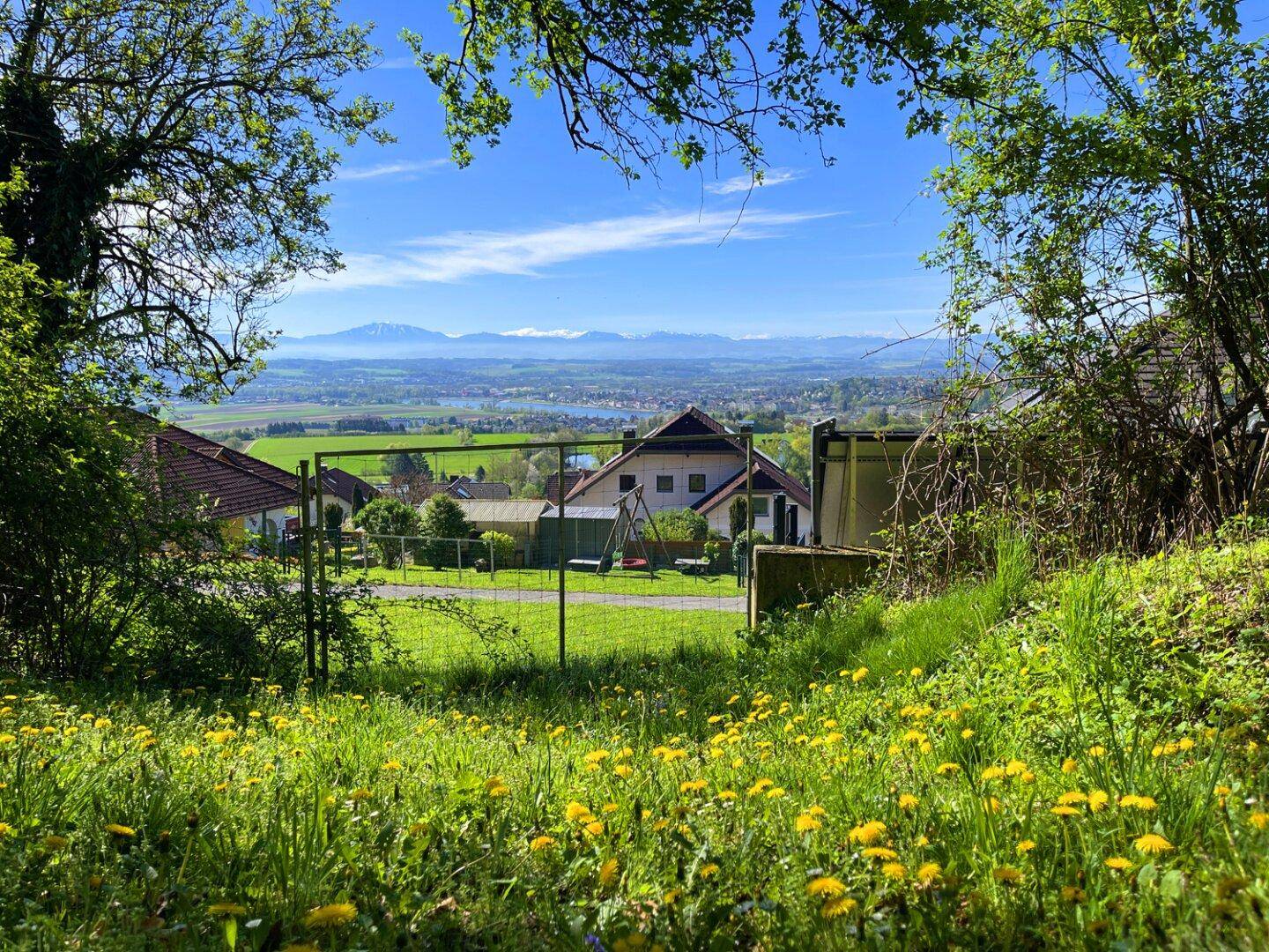 Blick durch Bäume und Sträucher auf ein Haus und die weite grüne Landschaft mit Bergen.