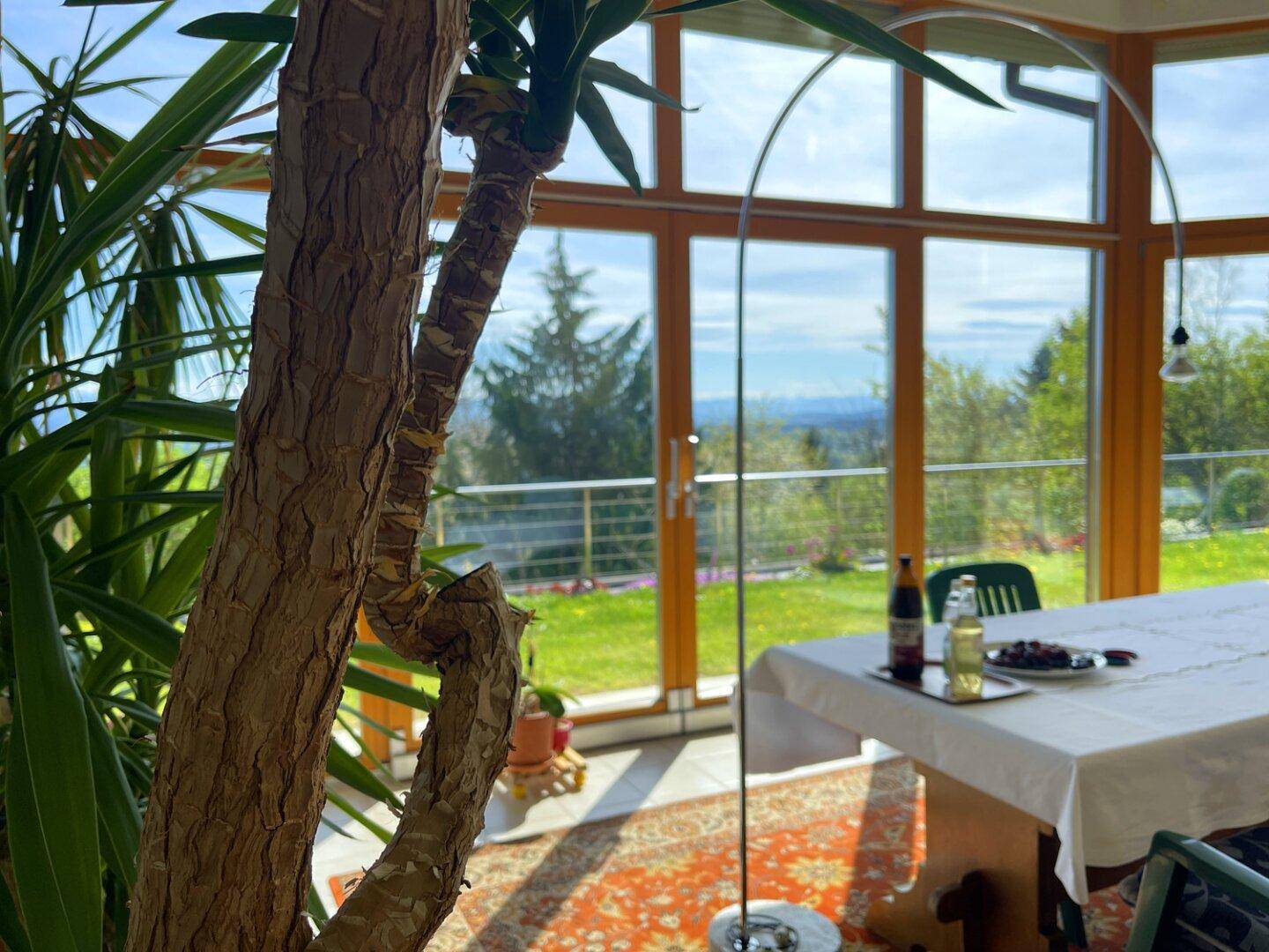 Nahaufnahme einer Pflanze im sonnigen Wintergarten mit weitem Blick in die Landschaft.