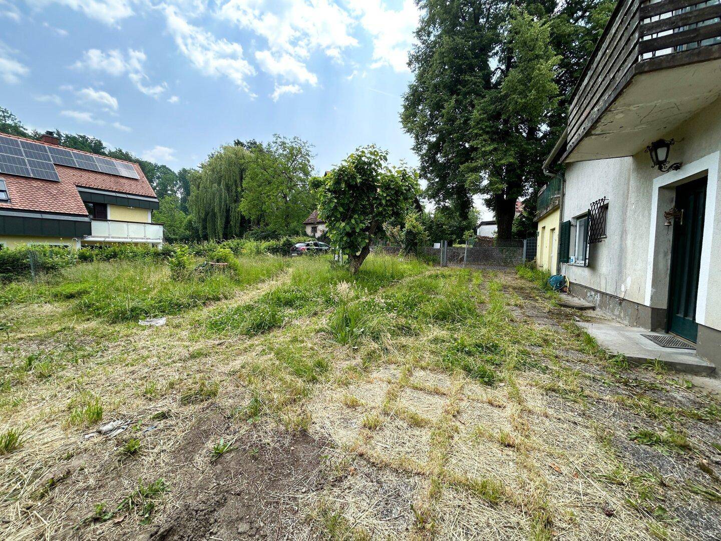Blick über den verwilderten Gartenbereich mit einem Baum und der Seitenansicht des Hauses.