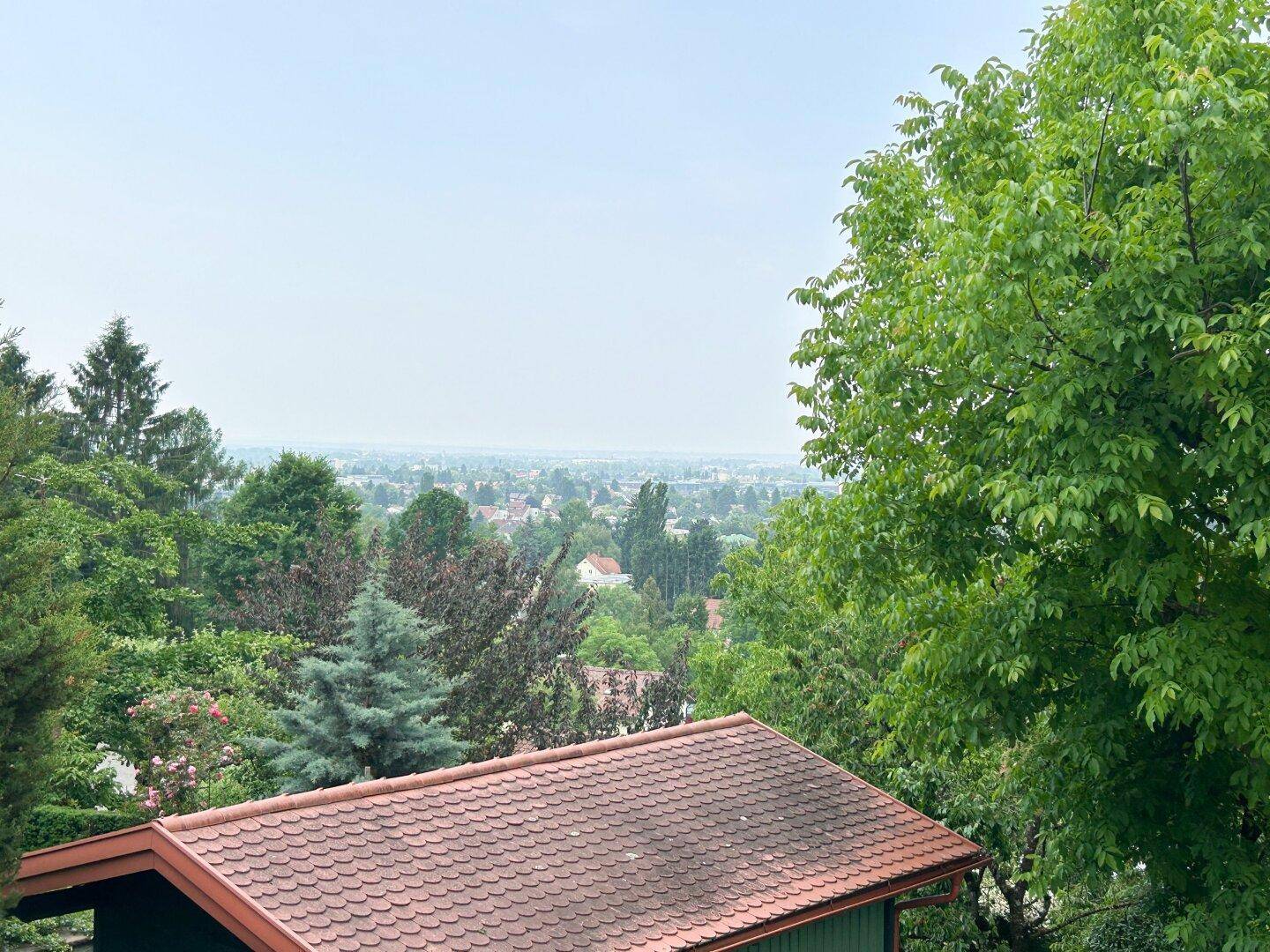 Weitläufiger Blick über die Baumwipfel und die Dächer der Stadt in der Ferne.