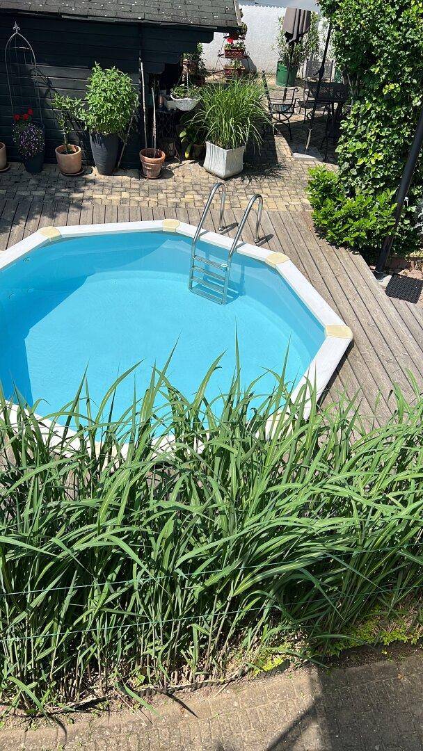 Kleiner eingelassener Pool mit Holzdeck und umgebender Bepflanzung im Gartenbereich.