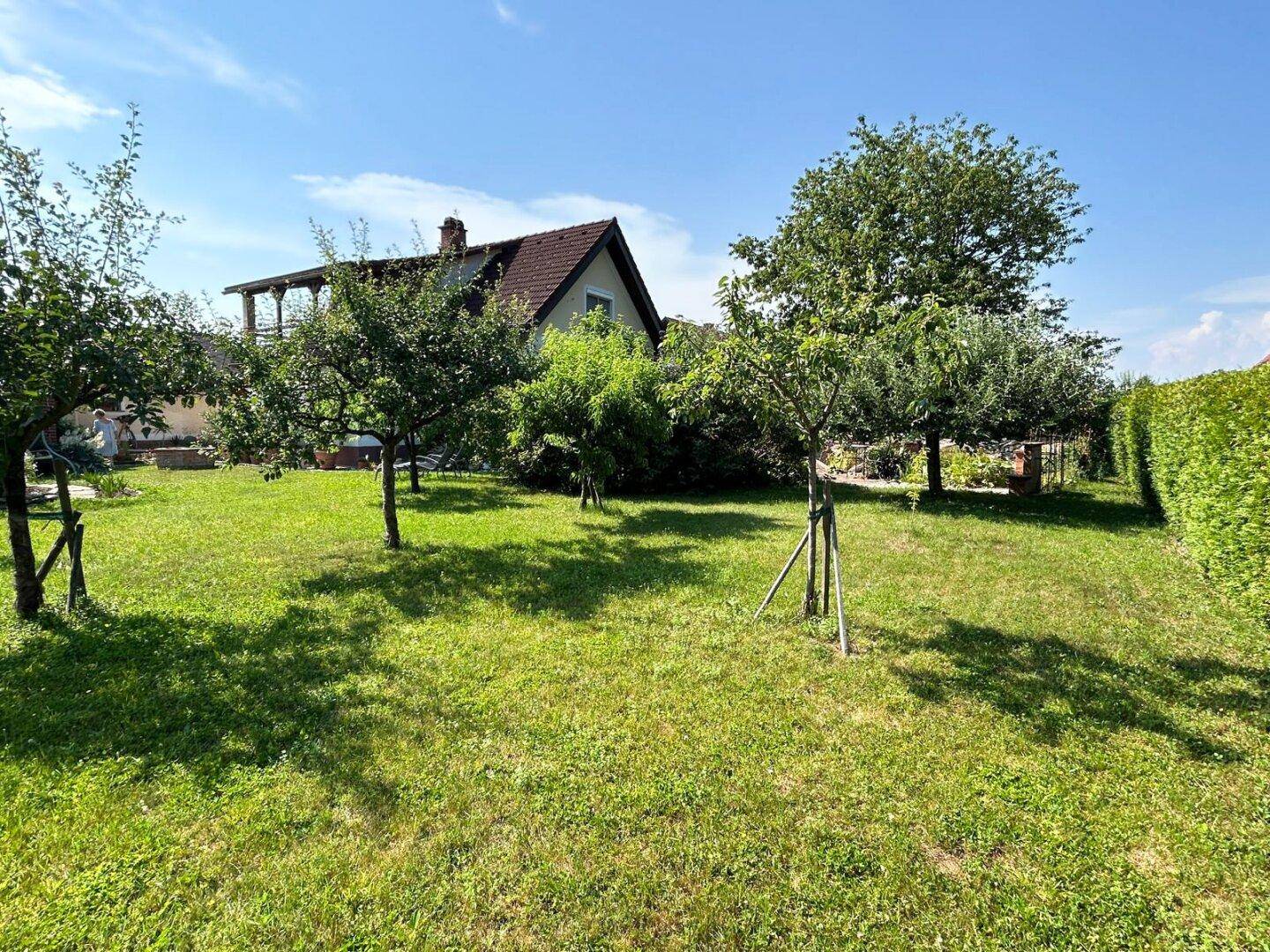 Große Rasenfläche mit jungen Obstbäumen und Blick auf das Einfamilienhaus im Hintergrund.