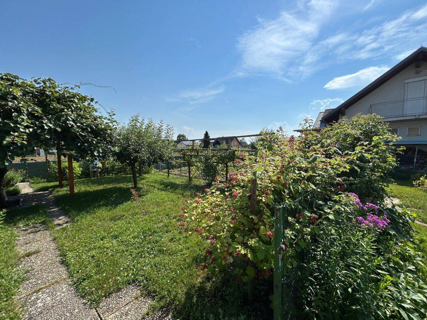 Großer Garten mit Rasenfläche, Obstbäumen und üppiger Vegetation unter blauem Himmel.