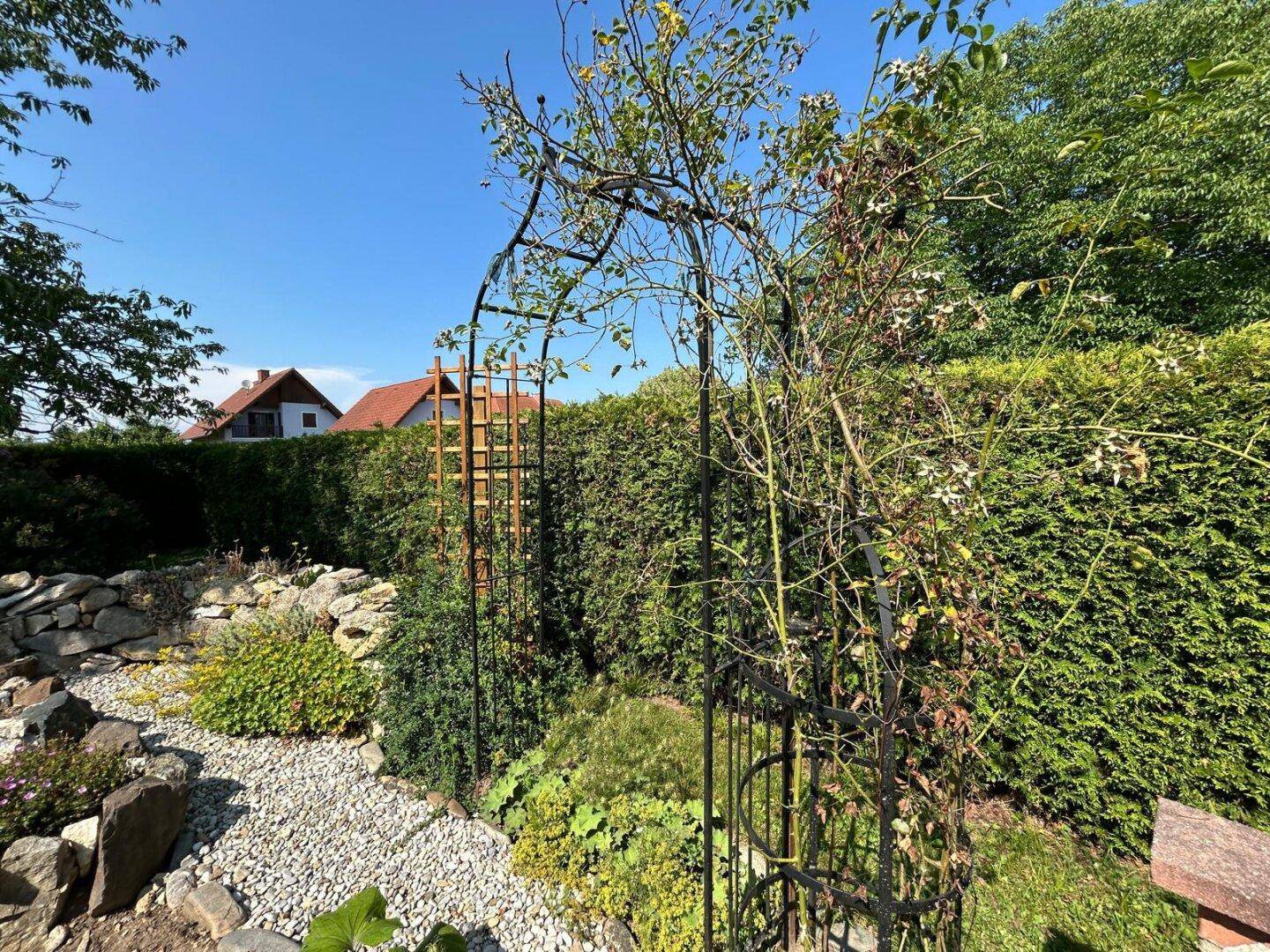 Gartenweg aus Kies mit Rosenbogen und dichter Hecke im Hintergrund.
