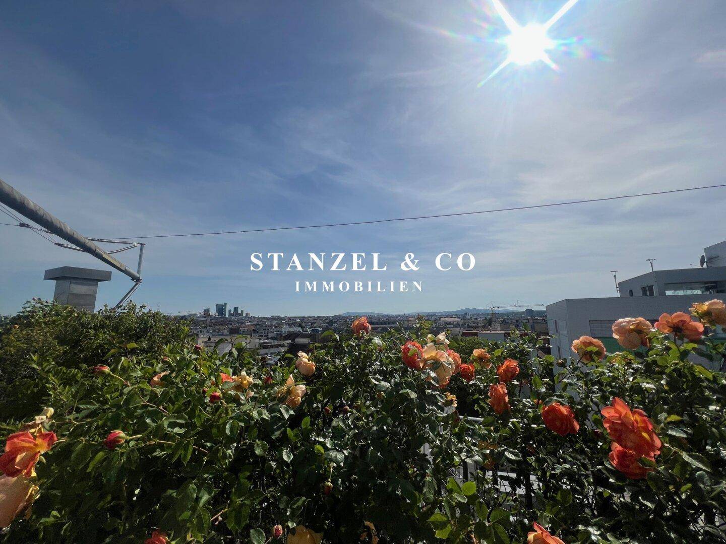 Sonniger Ausblick von der Dachterrasse über die Stadt, umgeben von blühenden Rosen.