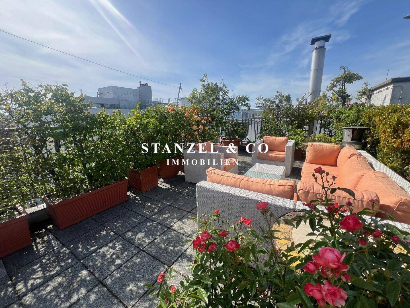 Sonnige Dachterrasse mit blühenden Rosen und weiteren Pflanzen in Kübeln, ideal zum Entspannen.