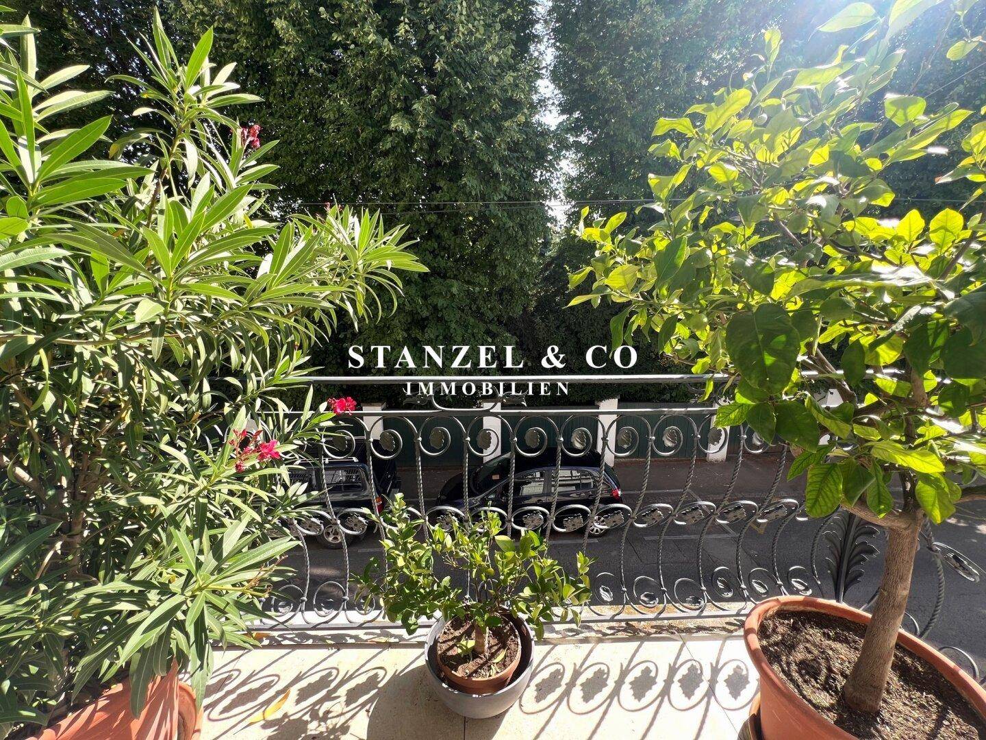 Sonniger Balkon mit üppigen Pflanzen und Blick auf grüne Bäume und die Straße.