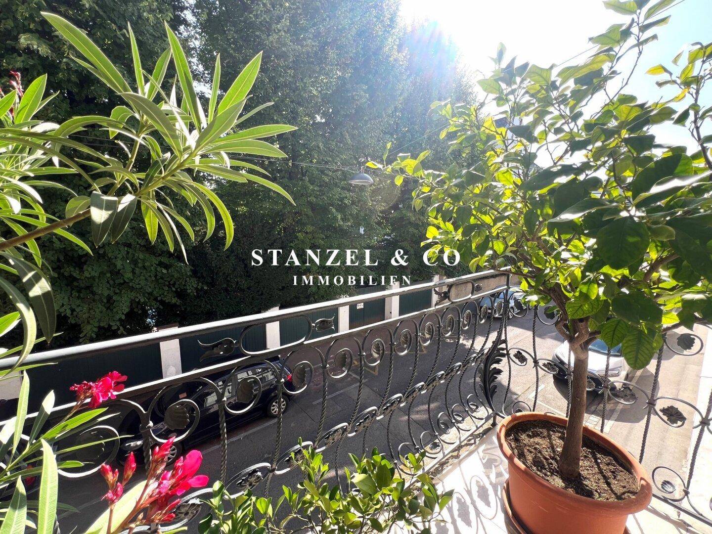Heller Balkon mit vielen Pflanzen, der einen sonnigen Blick auf die Baumkronen bietet.