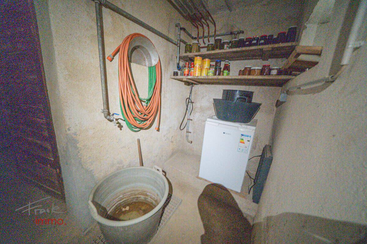 Hauswirtschaftsraum im Keller mit Gefrierschrank, Regalen und Lagerflächen.