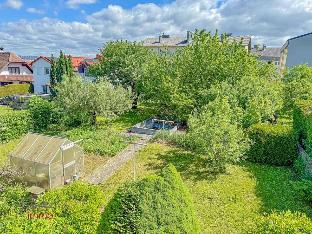 Großer Garten mit Bäumen, einem Gewächshaus und einem erhöhten Beet unter blauem Himmel.