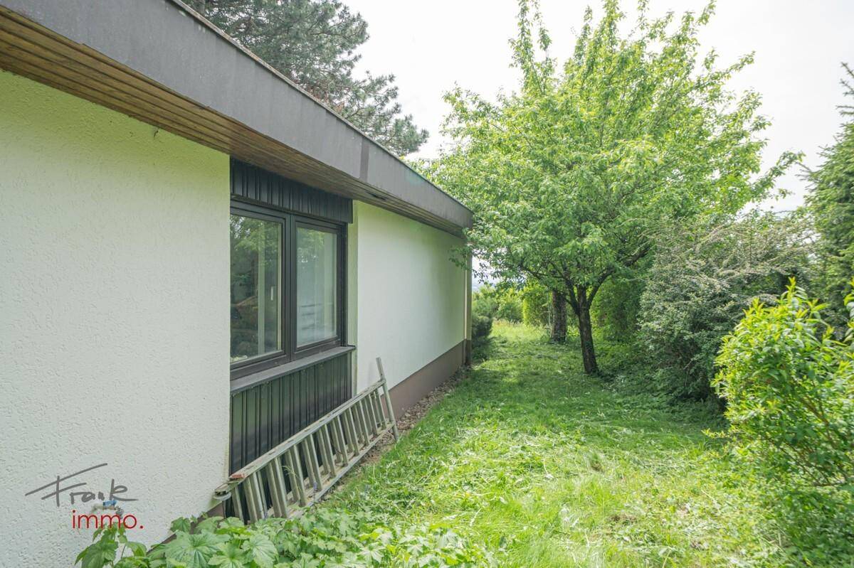 360 Grad Altenberg leer-76