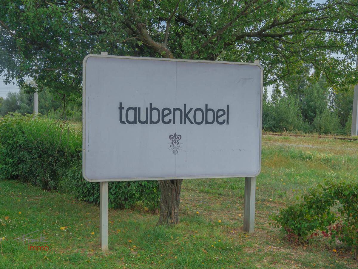 Taubenkobel