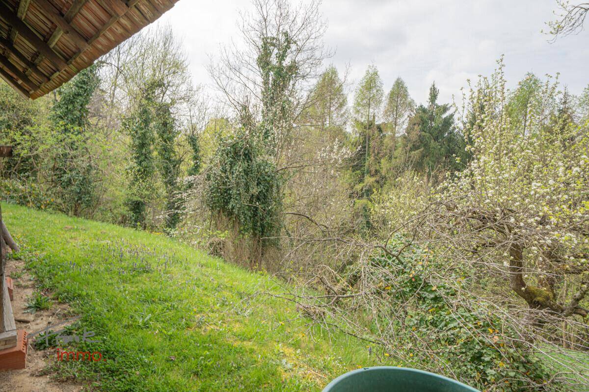Grüner, leicht abfallender Gartenbereich mit Bäumen und Sträuchern, in natürlicher Umgebung.