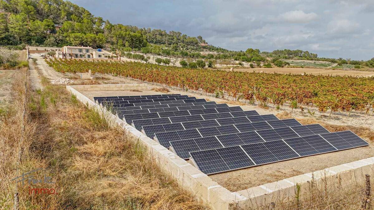 Photovoltaikanlage in einem Feld neben einem Weinberg mit dem Anwesen im Hintergrund.
