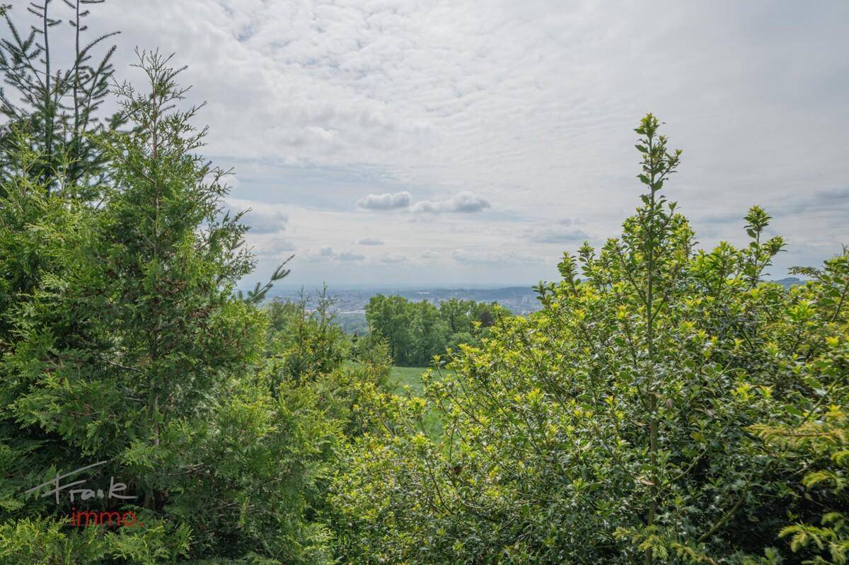 360 Grad Altenberg leer-72
