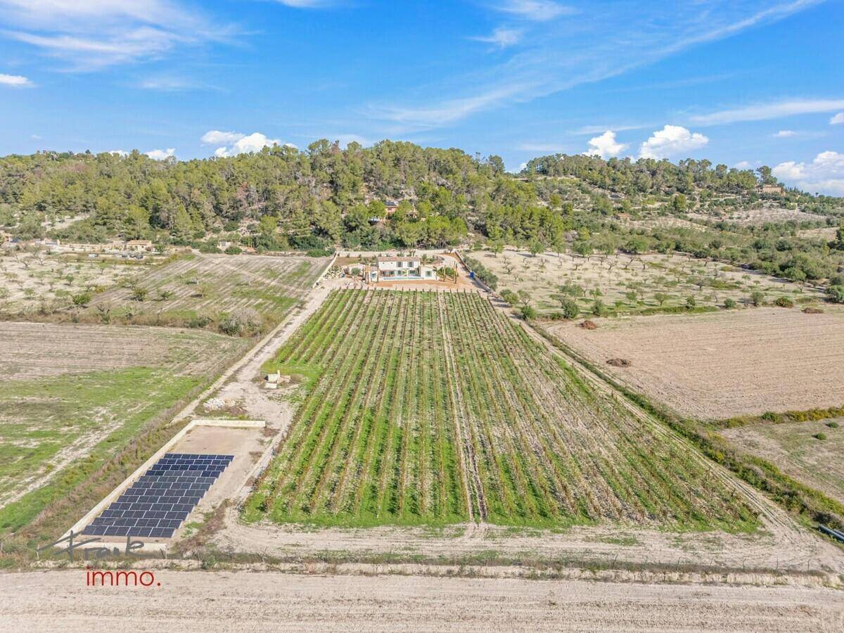 Luftaufnahme des Anwesens mit weitläufigen Weinbergen, Solaranlage und Haupthaus.