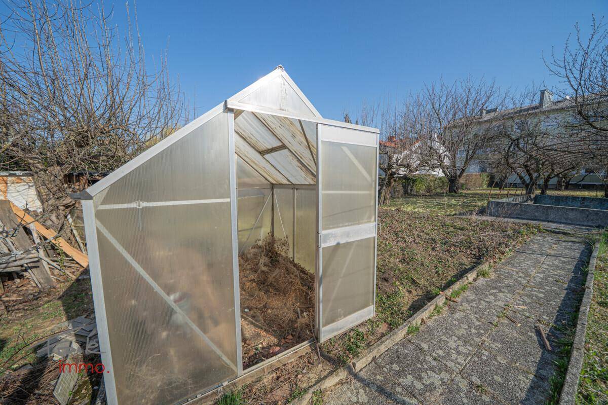 Gewächshaus im Gartenbereich mit kahlen Bäumen im Hintergrund an einem sonnigen Frühlingstag.