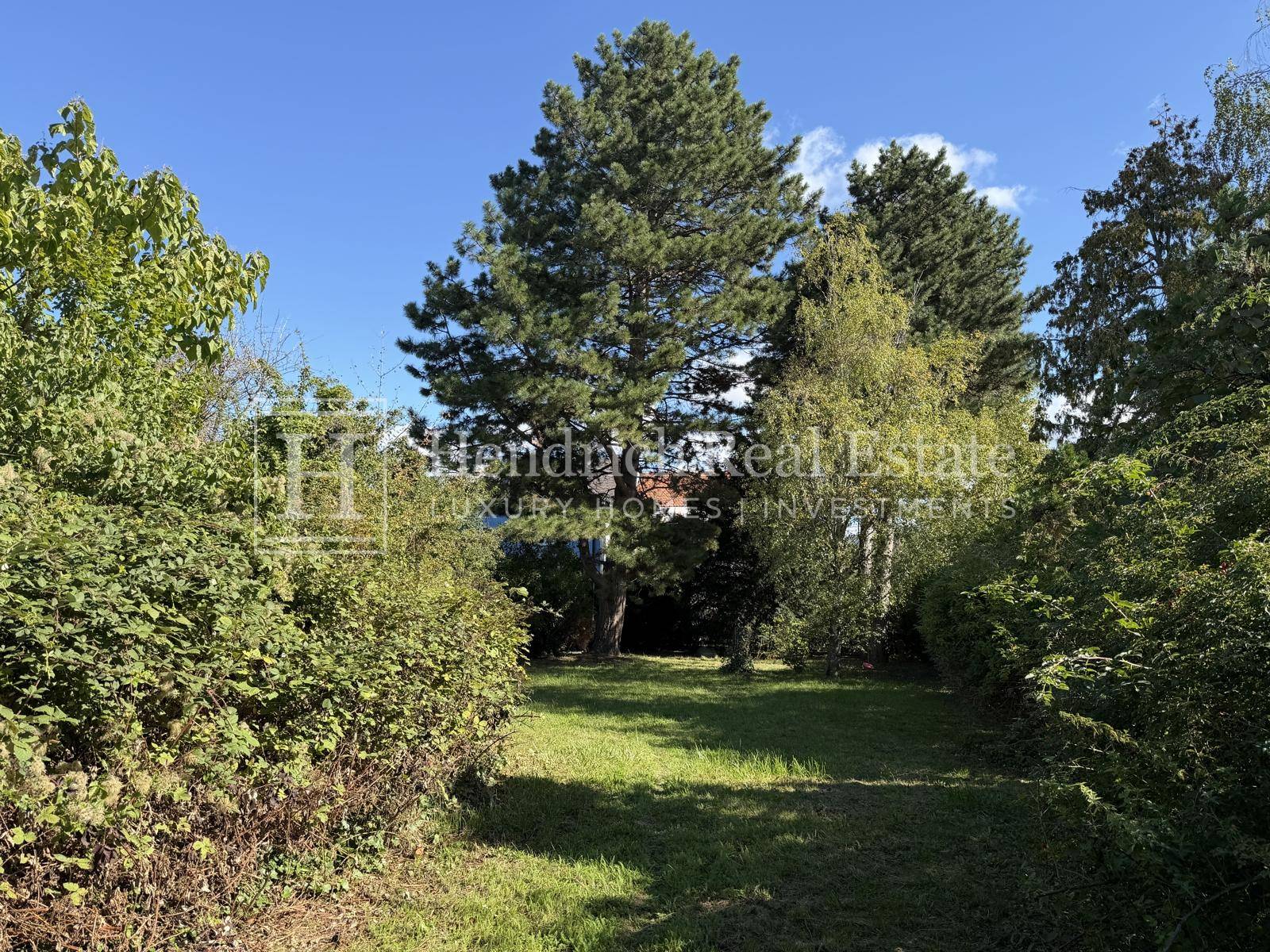 Grüner Gartenweg, gesäumt von Büschen und Bäumen, mit einer großen Kiefer im Hintergrund.
