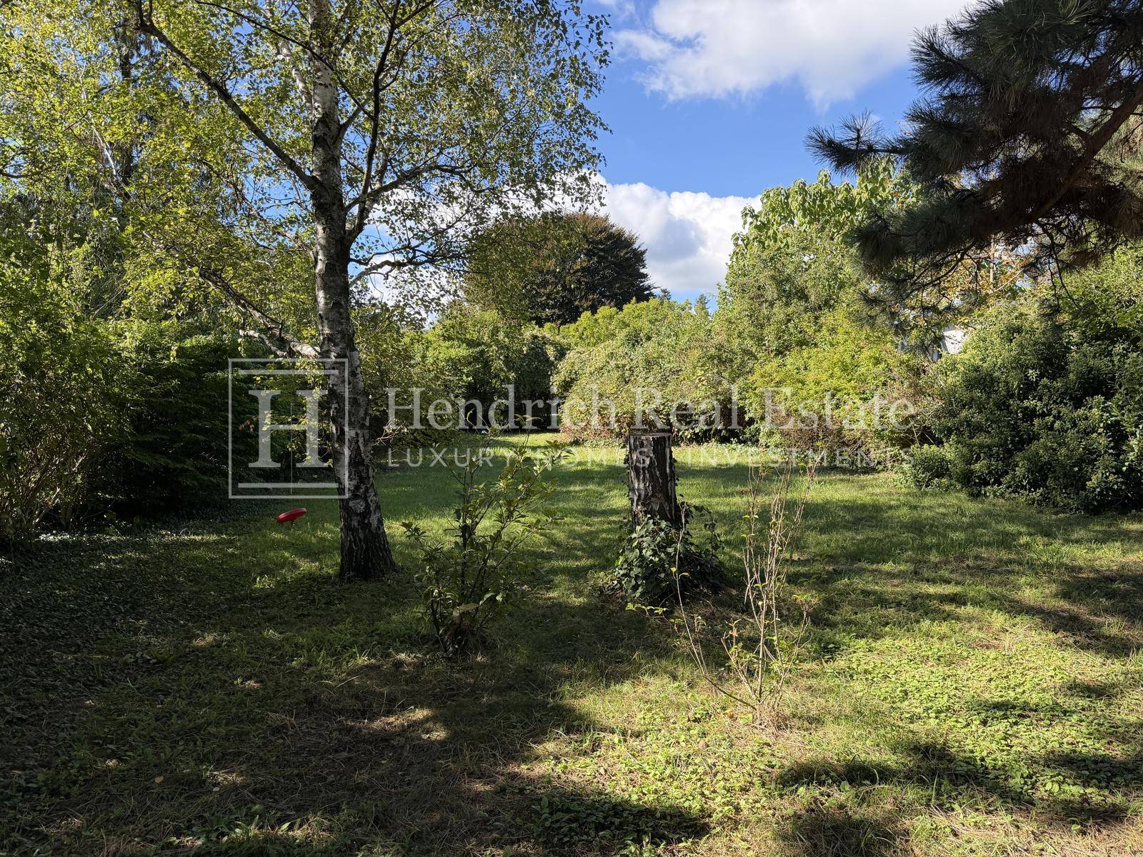 Idyllischer Garten mit üppigem Grün, hohen Bäumen und einem Baumstumpf unter blauem Himmel.