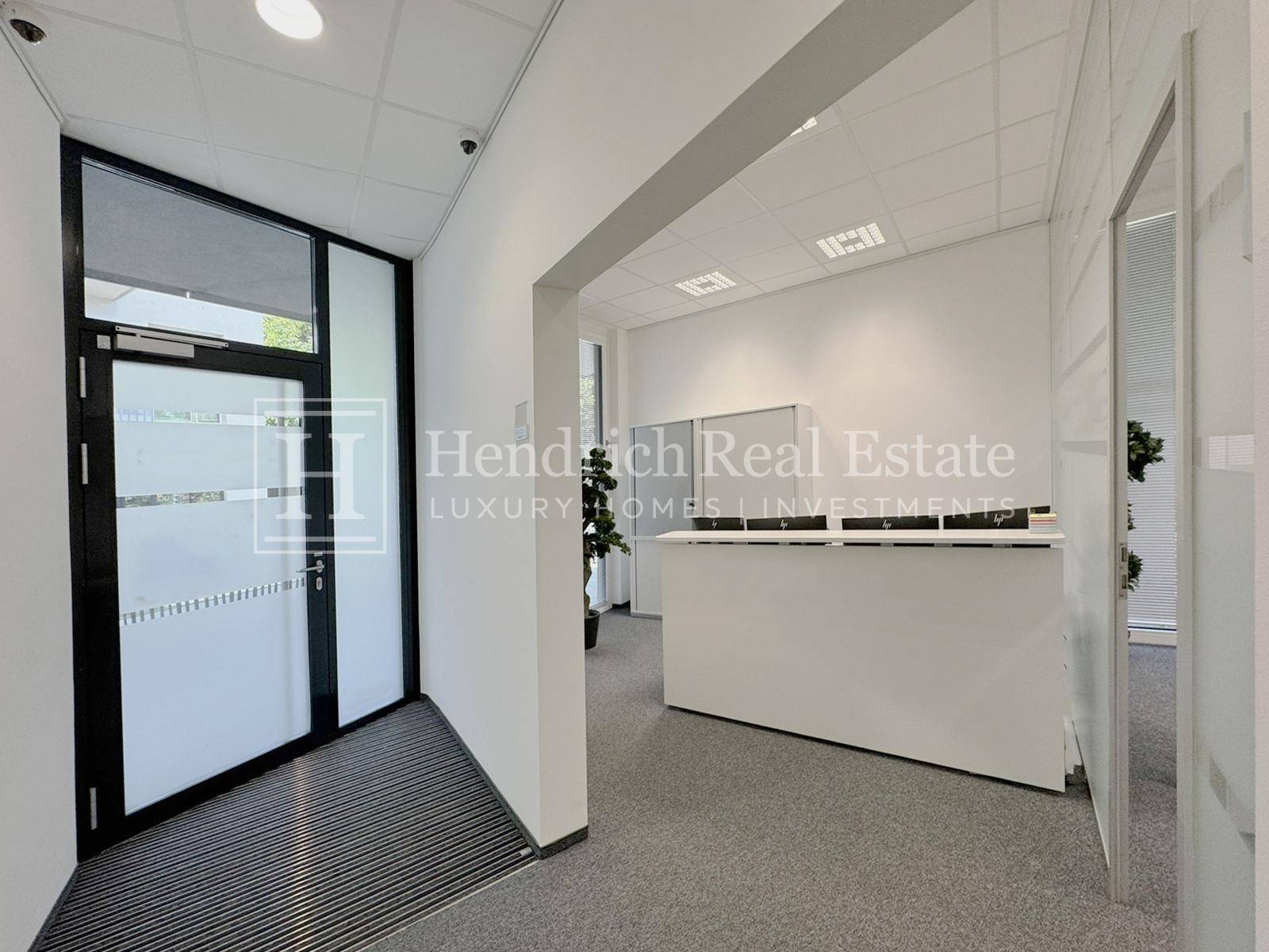 Gewerbefläche, 313 m²
