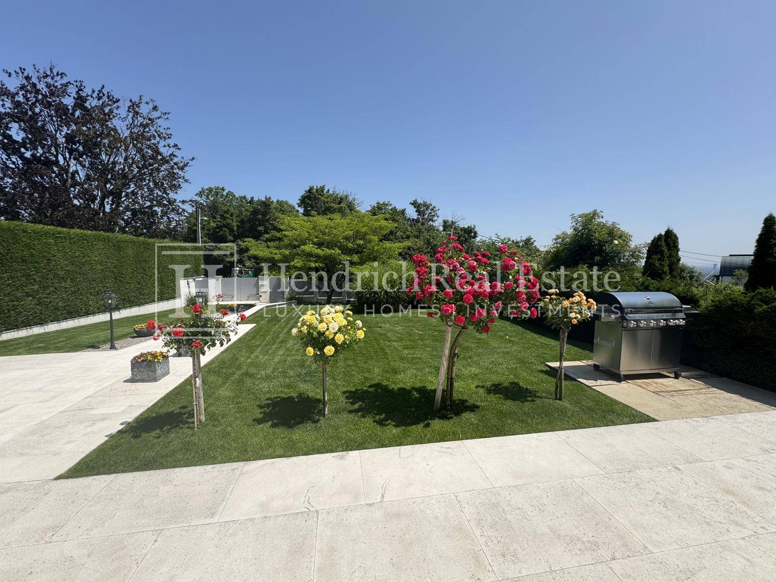 Sonniger Gartenbereich mit Rasenfläche, blühenden Rosenbäumen und einem modernen Grillplatz.