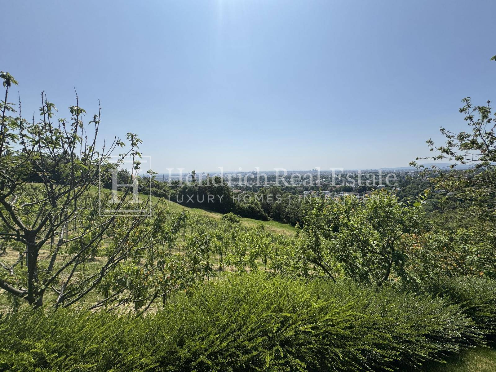 Panoramablick über Weinberge und grüne Hügel mit der Stadt in der Ferne unter klarem Himmel.