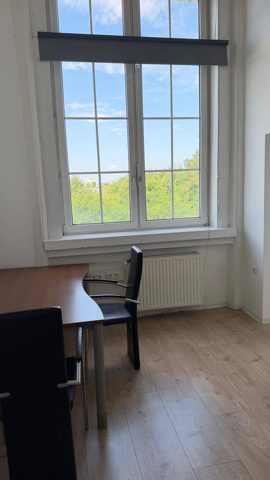 Detailansicht eines großen Fensters in einem Büro mit Blick auf Bäume und blauen Himmel, darunter ein Heizkörper.