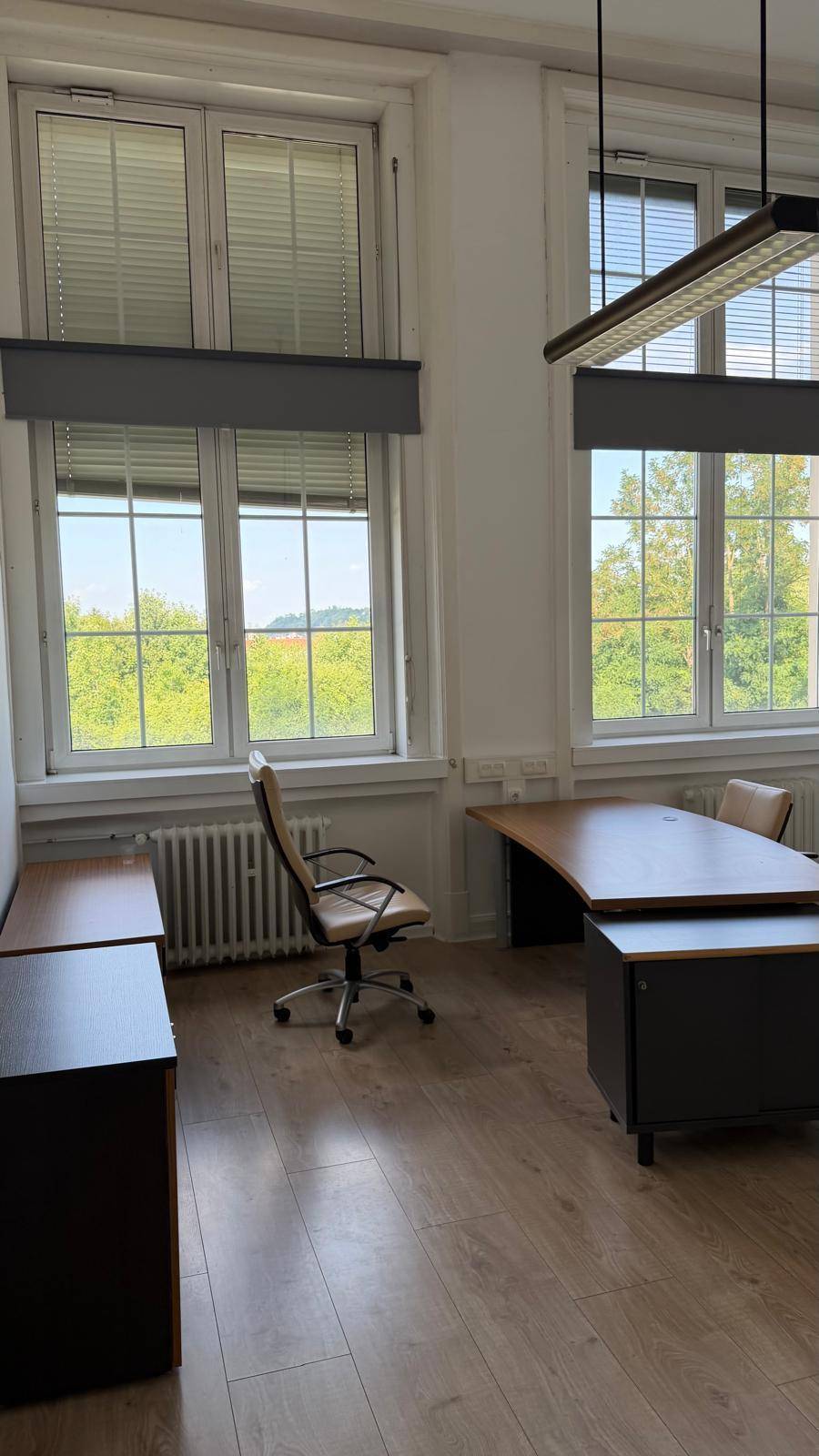 Büro mit hellem Laminatboden, modernen Büromöbeln und großen Fenstern mit Blick ins Grüne, sehr einladend.