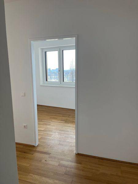 tosons sast 40301 Foto10.jpg