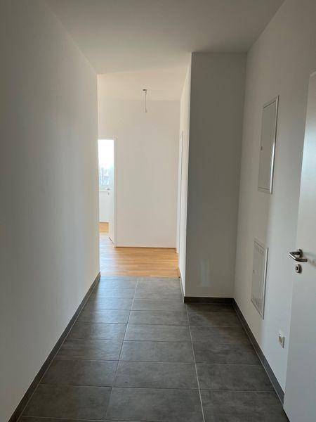 tosons sast 40301 Foto.jpg